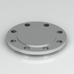 blind flange